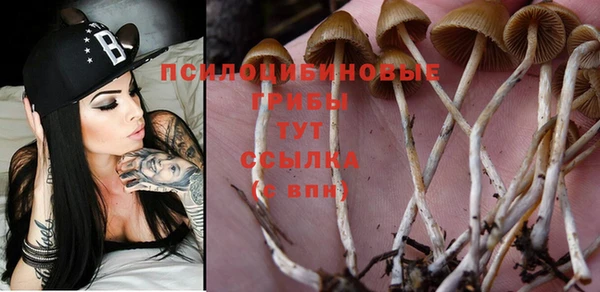 mdma Красноперекопск