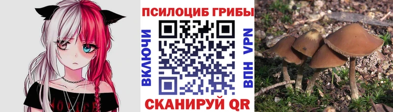 Псилоцибиновые грибы прущие грибы  Купить где  Куйбышев 
