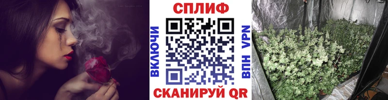 Канабис гибрид Куйбышев