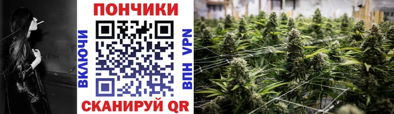 Купить  Куйбышев  Каннабис Bruce Banner 